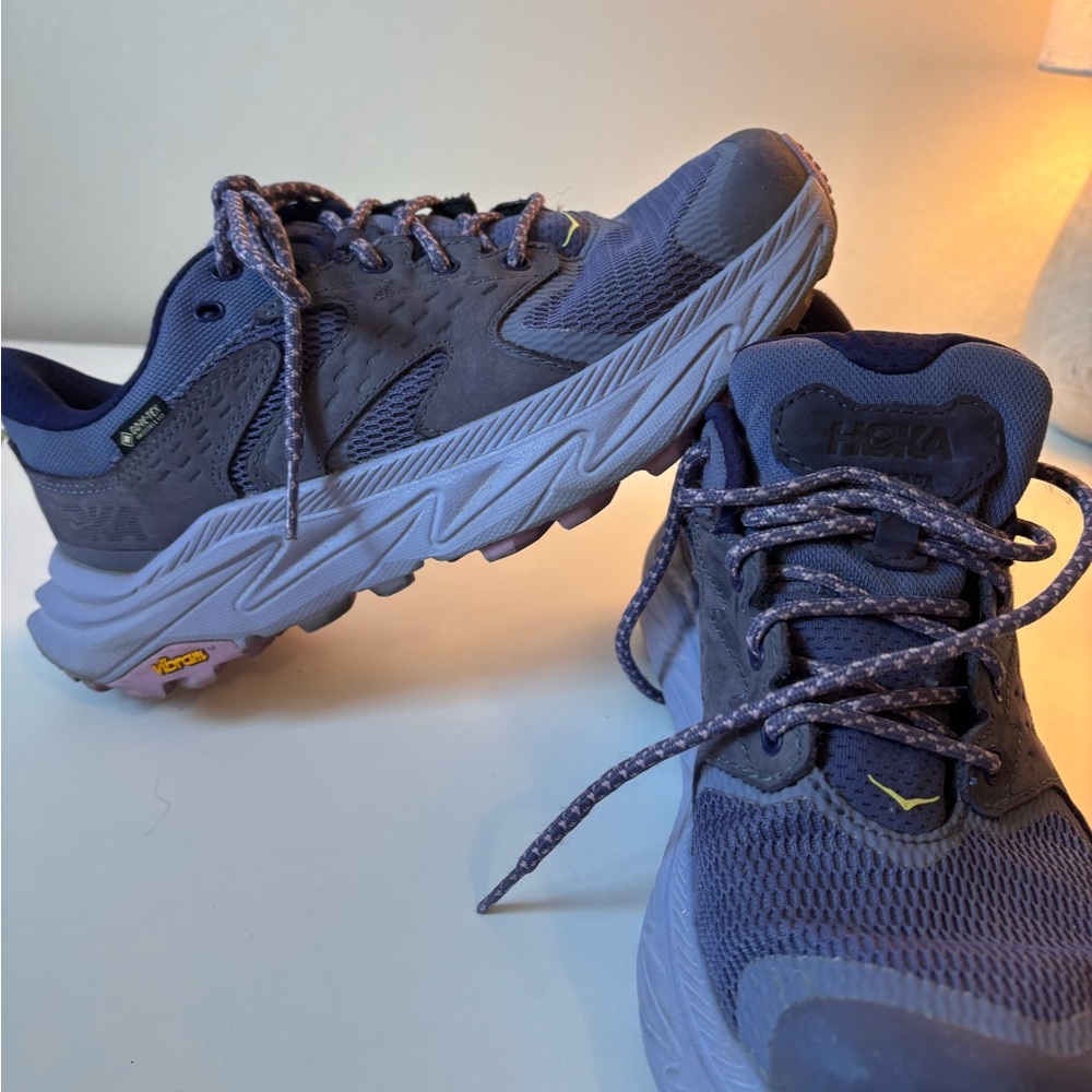 Anacapa 2 Low GTX Running Shoes Purple